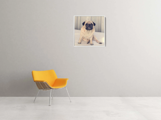 Pet Photo Print - Custom Canvas Art